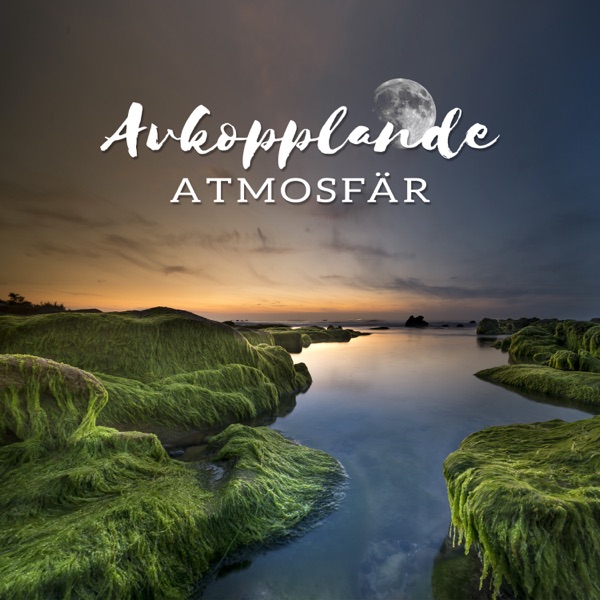 Avkopplande atmosfär - Lugnande meditationsmusik och naturljud för att sova (Sömnlöshet behandling)