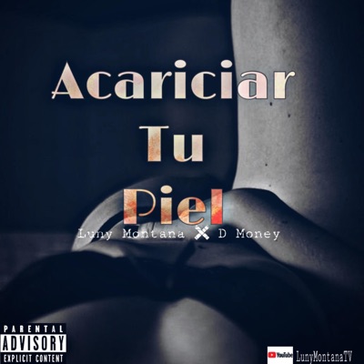 Acariciar Tu Piel (feat. D-Money) - Single
