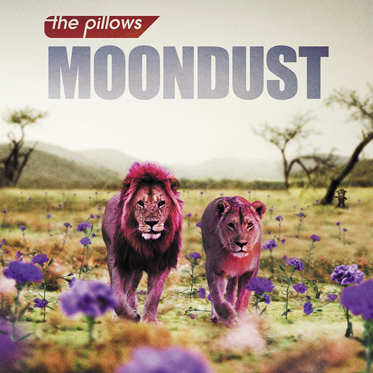 ムーンダスト - the pillowsのアルバム - Apple Music