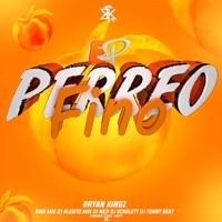 Mixeo Con Sandunga - Single - Dj Bryan Kingz