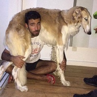 Tabaquinho - Single - Julio Secchin