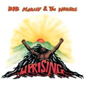 Bob Marley - Real Situation (Album Version)