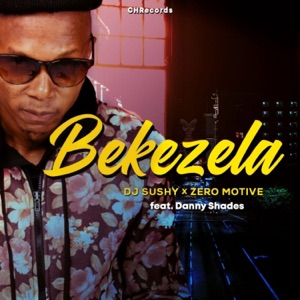 Bekezela (feat. Danny Shades)