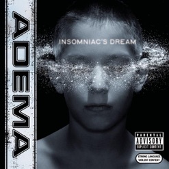 INSOMNIAC'S DREAM cover art