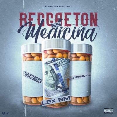 Reggaeton Es Medicina (feat. Lex Bm & Dj Prins Chicago) - Single