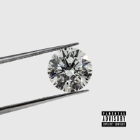 Vvs - FLEA DIAMONDS