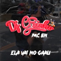 Ela Vai no Grau - Single - Dj CPzinho & MC BN