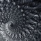 Similar Sensation - Blvkshp lyrics