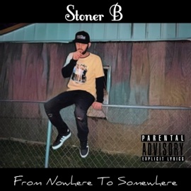 Bad Bitches (feat. Mr Diesel D) Stoner B