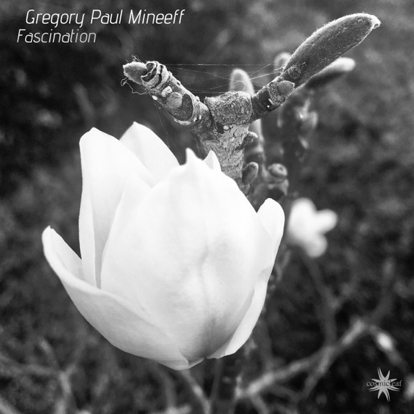 Fascination - Single
