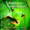 Rainforest & Nature Sounds: 50 Healing Power of Water (Rain, River, Ocean and Sea) Music for Sleep and Relaxation, Free Your Mind & Relax Better, Deep Waves Meditation