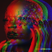 No Title - Single - Zim$inatra