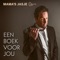 Een Boek Voor Jou (feat. Peter Vanlaet) artwork