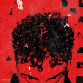 HALF CORRUPT J. Young