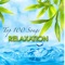 Relaxing Song (Tantric Massage) - Liquid Relaxation lyrics