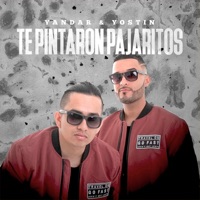 Te Pintaron Pajaritos (feat. Andy Rivera) - Single - Yandar & Yostin