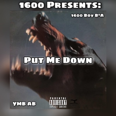 Put Me Down (feat. YMB AB) - Single