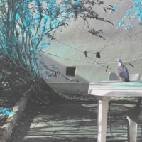 Radial - Single - Hessian