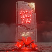 Look At What I Did - Single - DJ Five Venoms, Big Havi & Yak Gotti