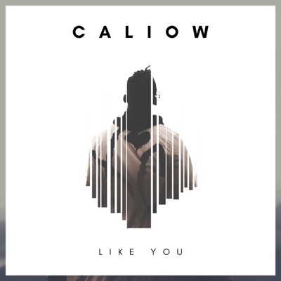 Like You - Single