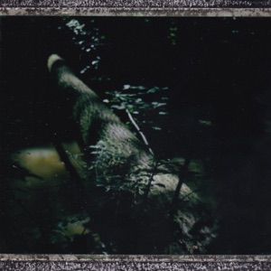 Mushroom Group - EP