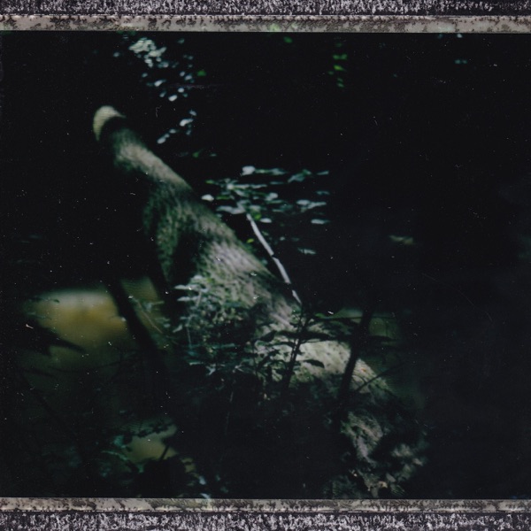 Mushroom Group - EP