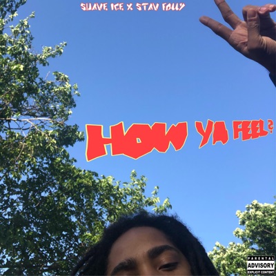 How Ya Feel? (feat. Stav Folly) - Single