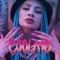 Coolaid - DZIARMA lyrics