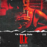Ok - Single - YH Young Dolo