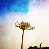 What You Make of It - Single - ODD Thoma$