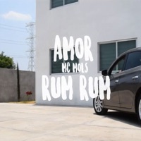 Amor Rum Rum - Single - Mc Mols