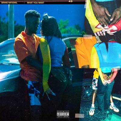 What You Want - Single