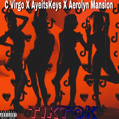 TikTok (feat. AyeitsKeys & Aerolyn Mansion) - Single