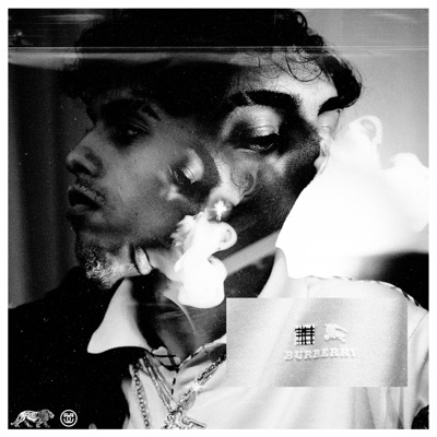 Burberry End - Single