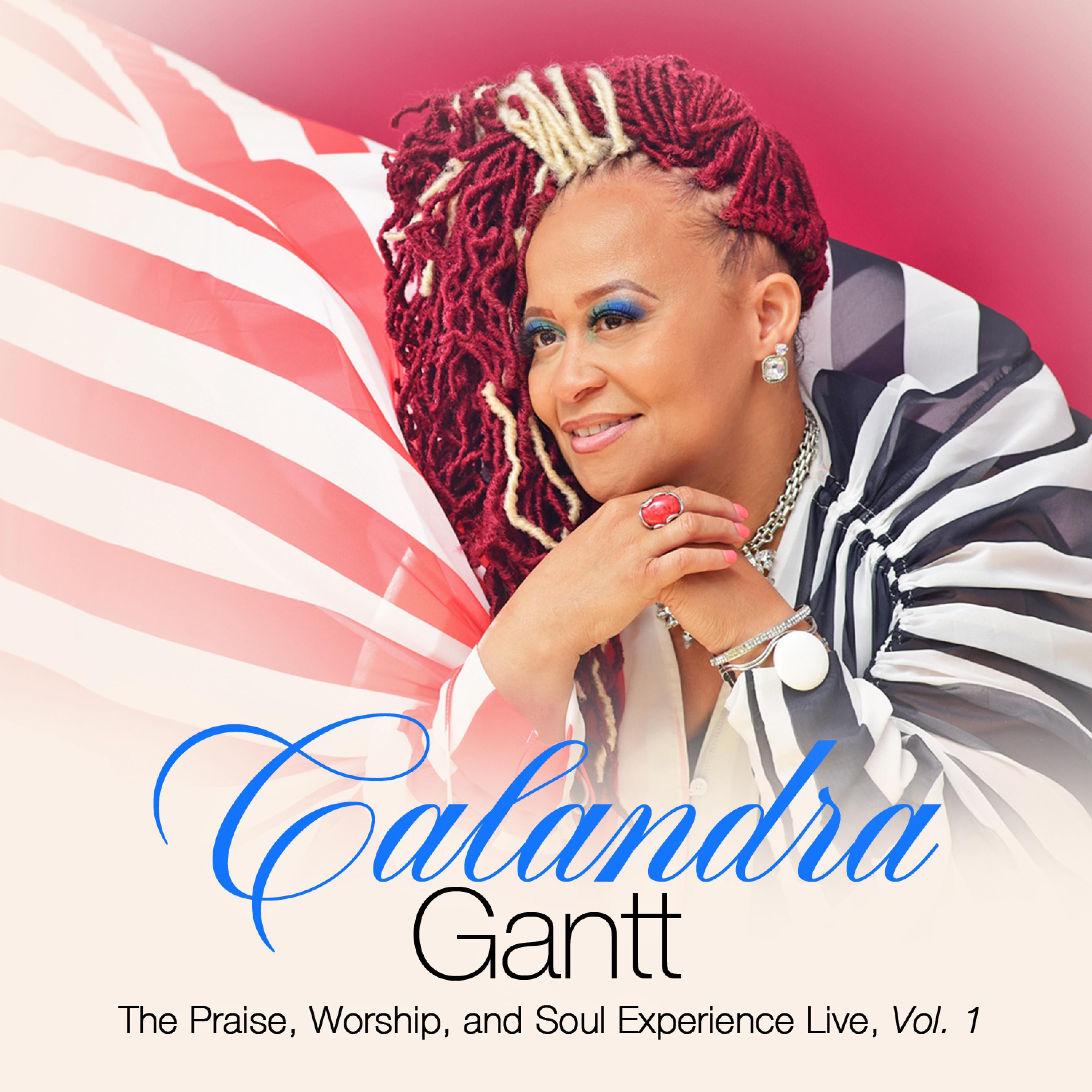 The Praise, Worship, And Soul Experience Live, Vol. 1