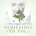SYMPHONY NO.25 IN G MINOR, K. 18