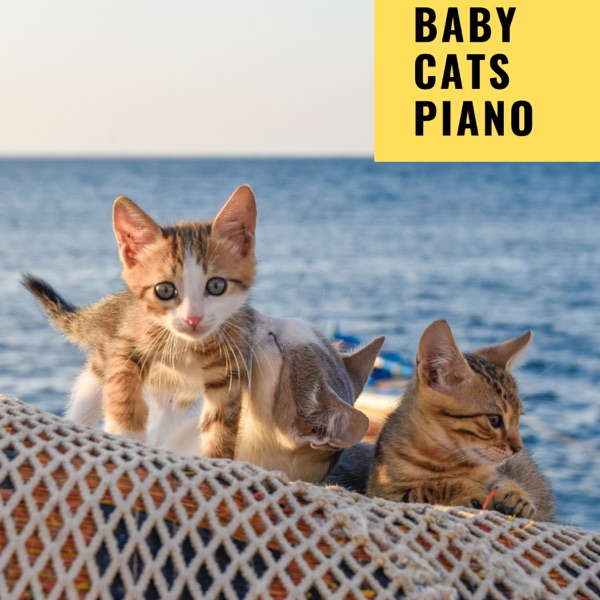 Baby Cats Piano