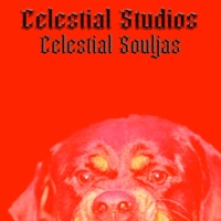 Celestial Souljas [Bonus Track] (feat. JR Scoop, NR Cliff, Capalot & 50k) - Single - Zona Zai