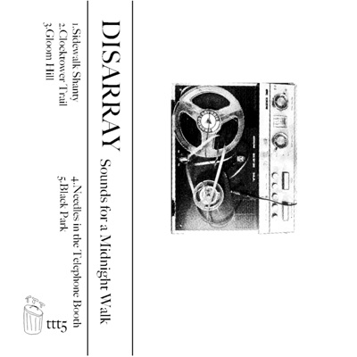 Sounds For a Midnight Walk