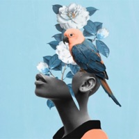 Jungle - Single - Senpu