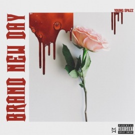 Brand New Day Young $pazz