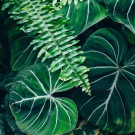 Phantom (feat. Suggs) CATVLYST