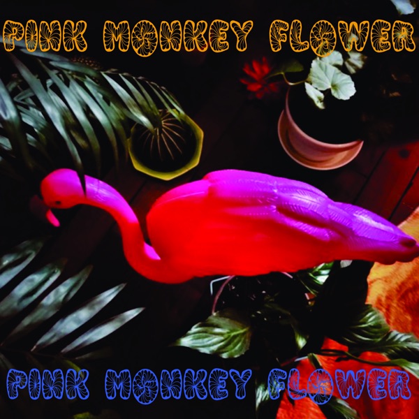 Pink Monkey Flower
