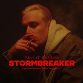 Stormbreaker (feat. Martin Matys) artwork