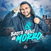 Brota Aqui no Morro - Single