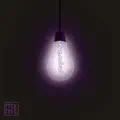 in the darkness