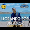 Llorando Por Un Amor - Single