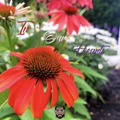 In Our Hearts (feat. Camarobeats) - Single