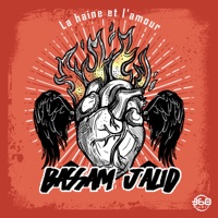 La Haine Et L Amour (Radio Edit) - Single - Bassam Jalid