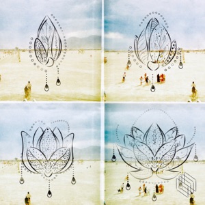 Lotus - Single